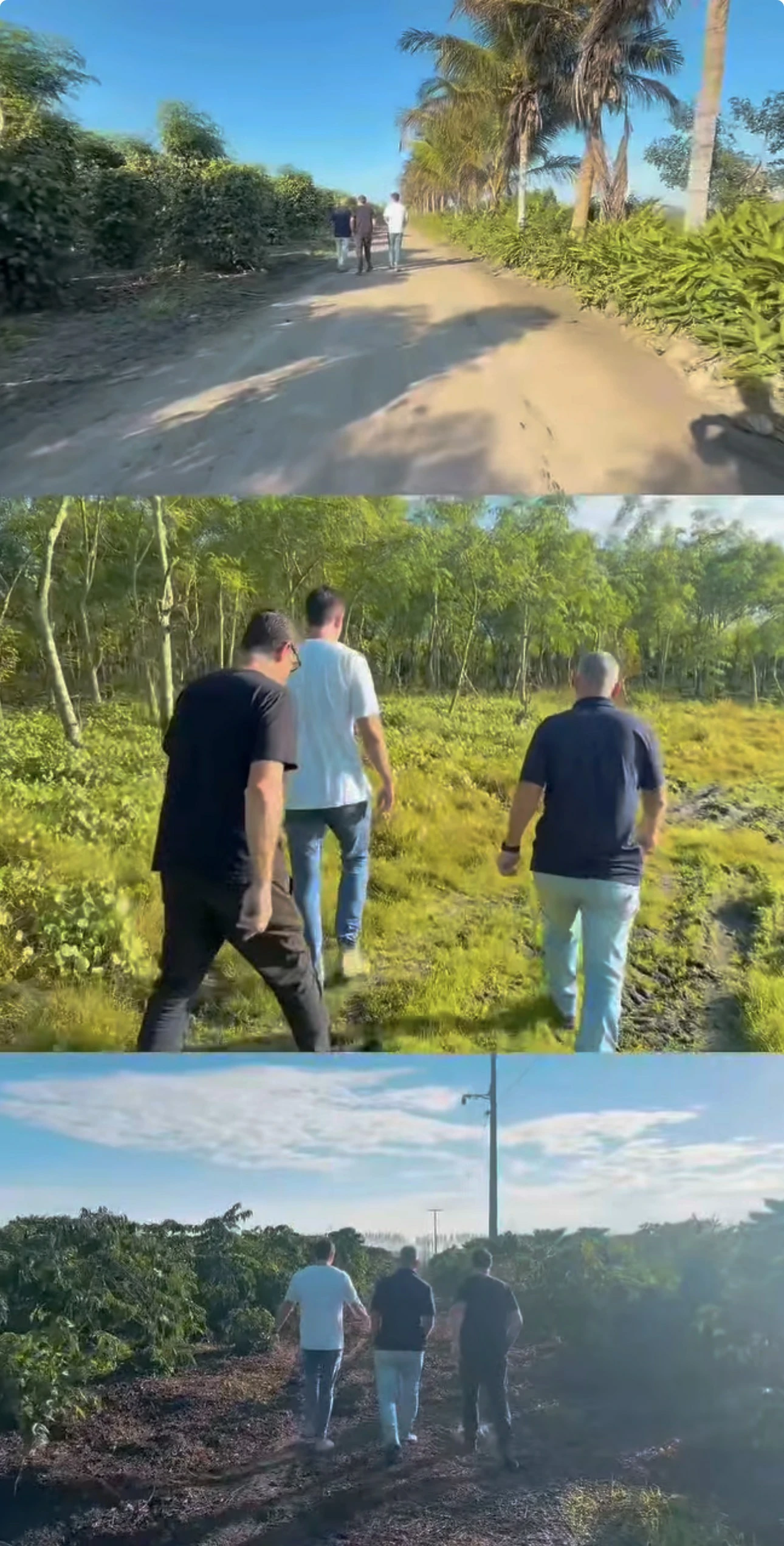 Experiência prática da Erasmo Agro no campo — imagem 16 de 38